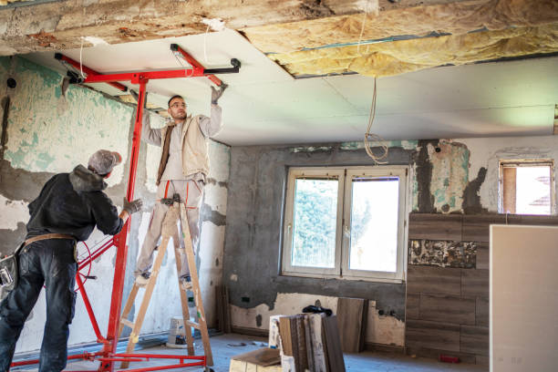 Best Cellulose Insulation  in Mitchell, IN
