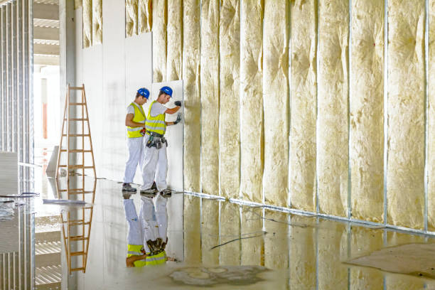 Best Insulation Repair Services  in Mitchell, IN